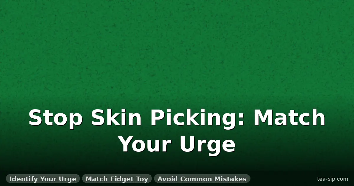 best fidget toys for skin picking guide by Tea Sip