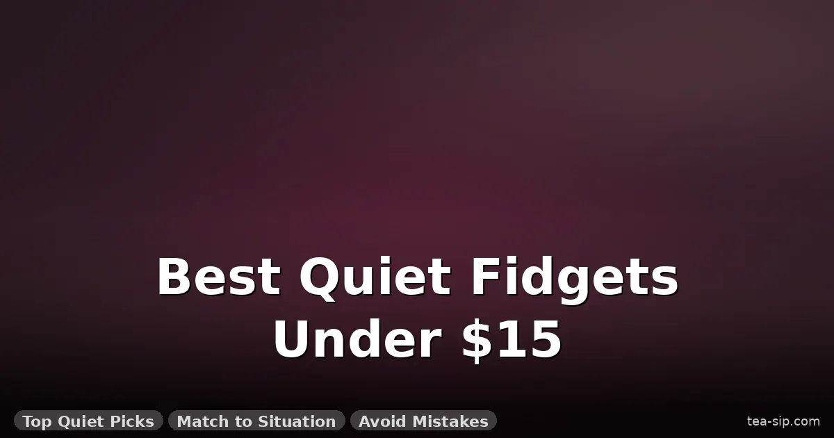 best fidget toys under 15 dollars guide by Tea Sip