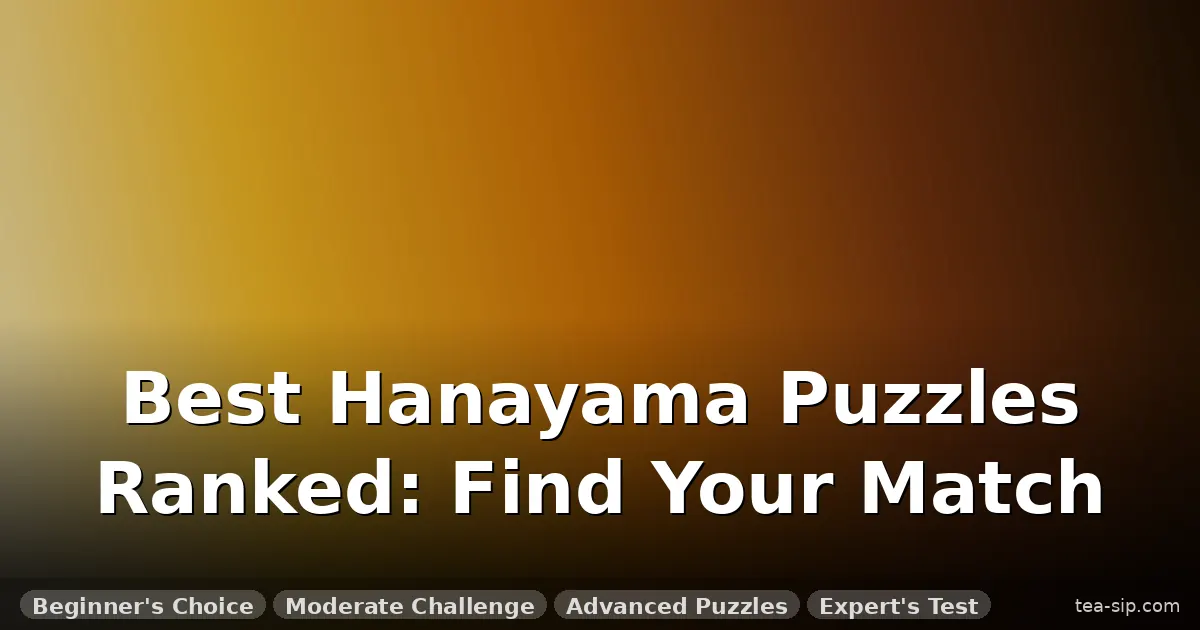 best hanayama puzzles ranked guide by Tea Sip
