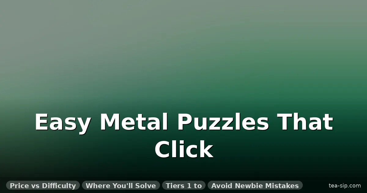 best metal puzzles for beginners guide by Tea Sip