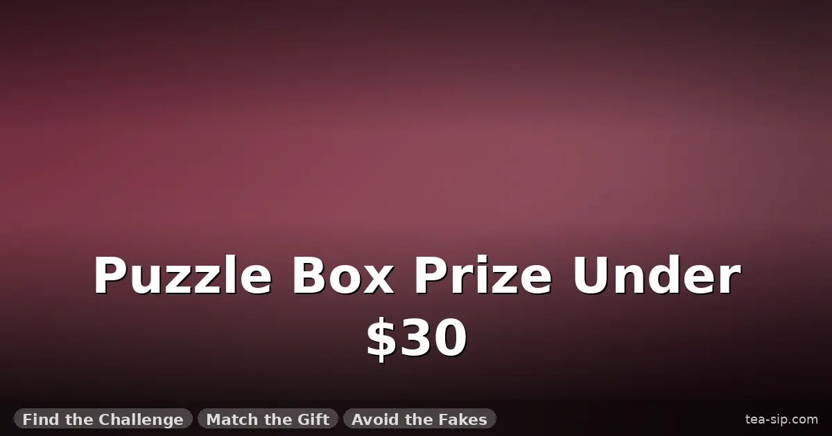 best puzzle box under 30 dollars guide by Tea Sip