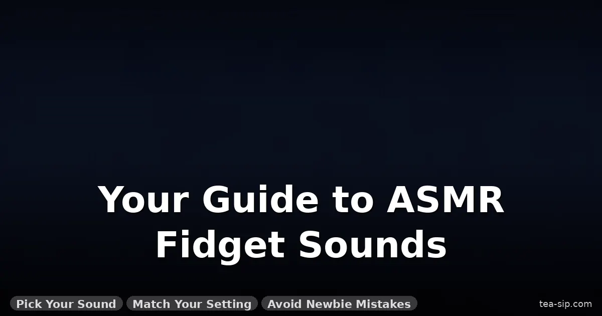 fidget toy asmr trend explained guide by Tea Sip