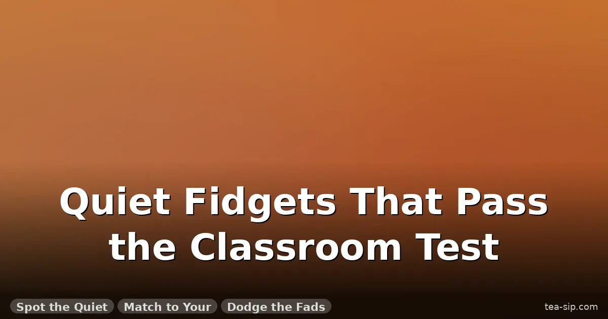 fidget toys for classroom guide by Tea Sip