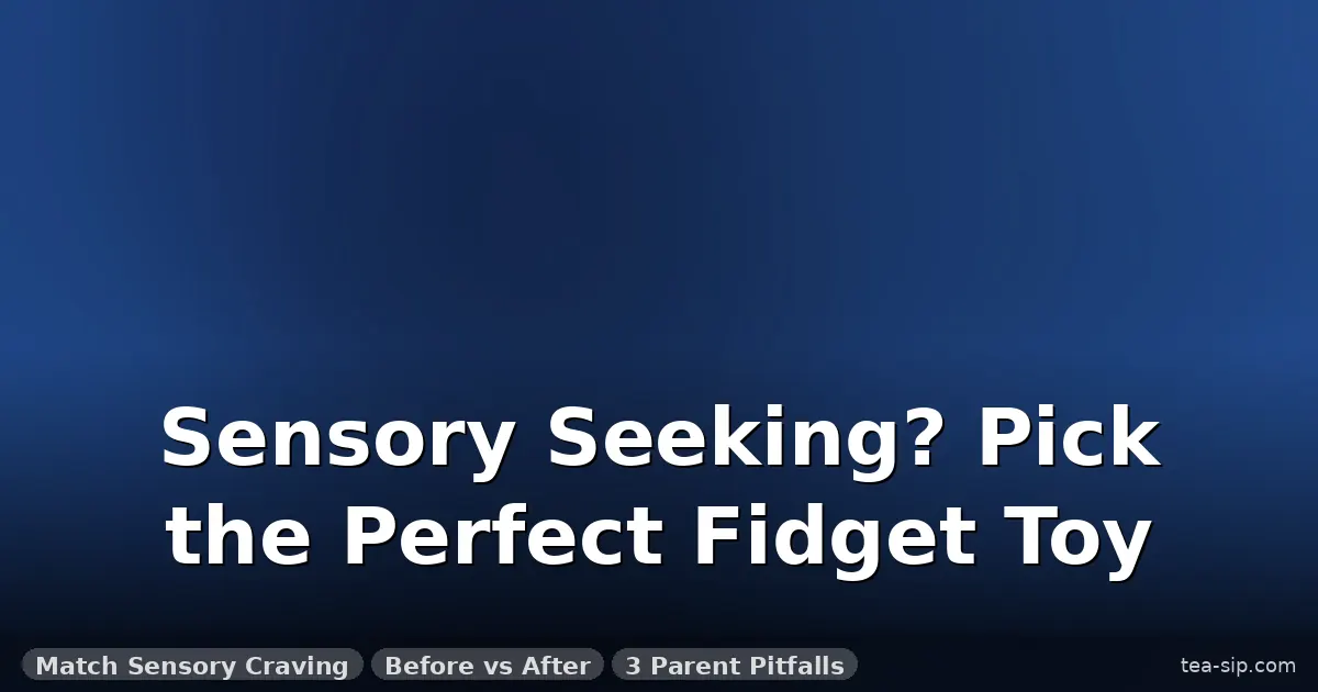 fidget toys for sensory seekers guide by Tea Sip