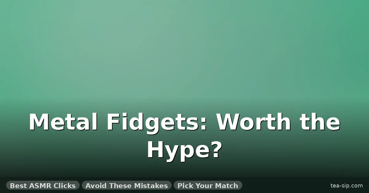 fidget toys tiktok made me buy guide by Tea Sip