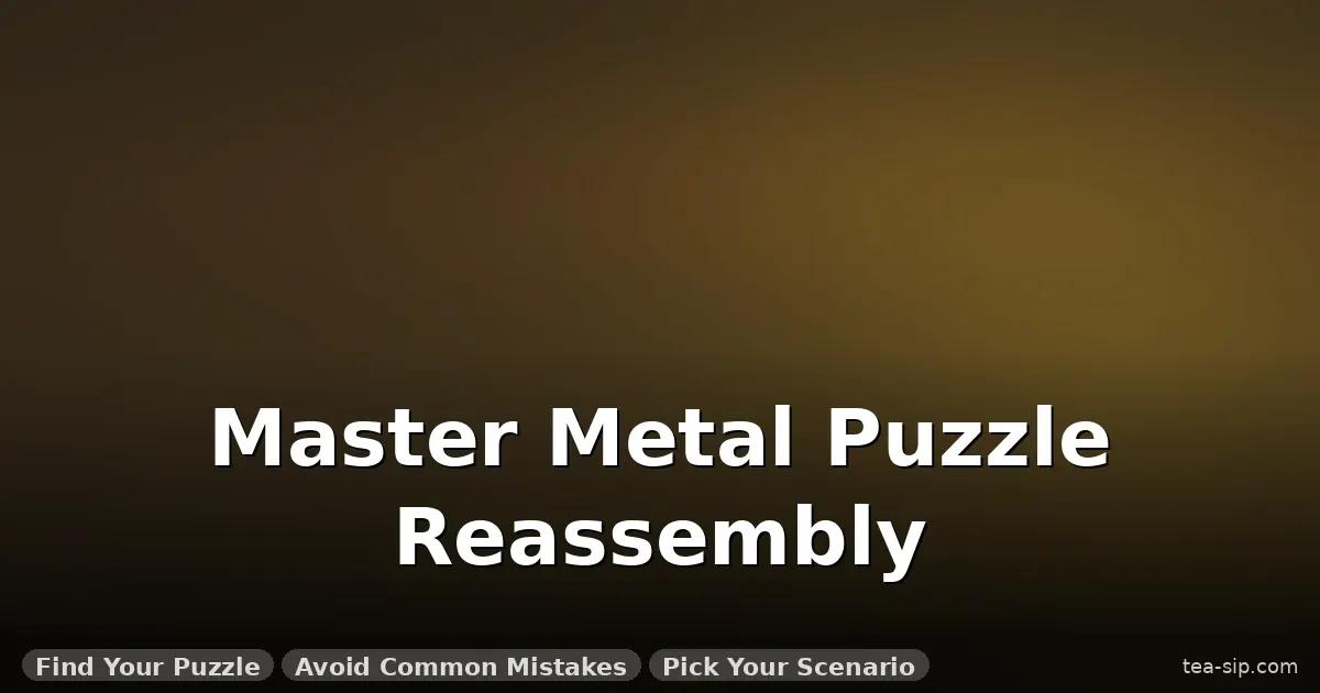how to reassemble metal puzzle guide by Tea Sip