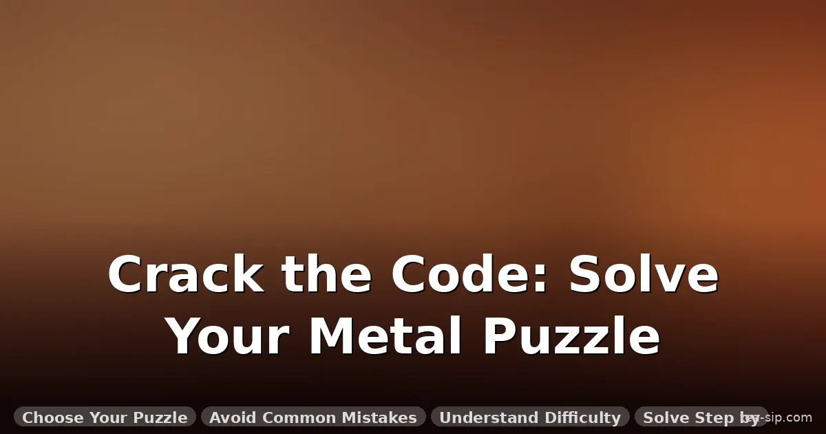 how to solve 12 piece metal puzzle guide by Tea Sip