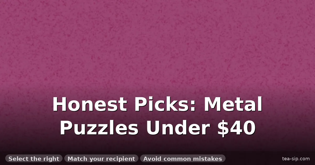 metal puzzle gift set review guide by Tea Sip