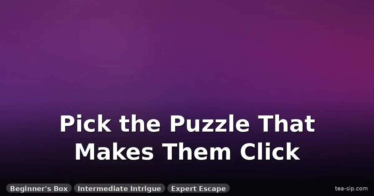 puzzle box with hidden compartment buyers guide guide by Tea Sip