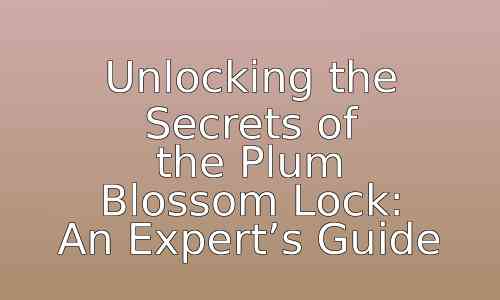 Unlocking the Secrets of the Plum Blossom Lock: An Expert's Guide 1 astg 1759162683 7AN8Ya