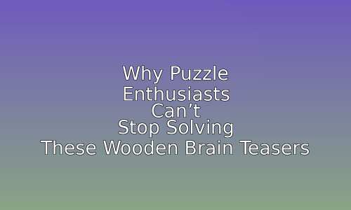 Why Puzzle Enthusiasts Can't Stop Solving These Wooden Brain Teasers 143 astg 1768766584 HC4m0a