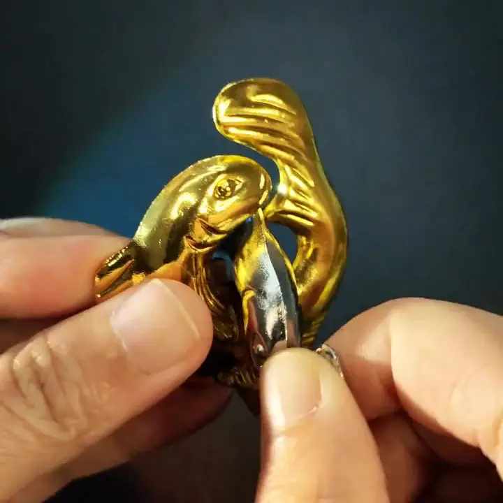 05 step1 hold gold fish