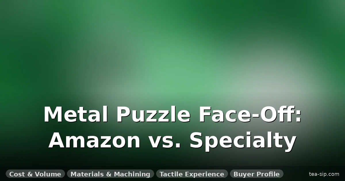 Amazon Metal Puzzles vs Specialty Store: The 5000-Word Hands-On Breakdown