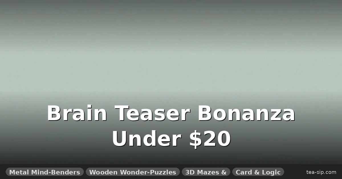 17 Best Brain Teaser Toys Under $20 (Tested for Frustration ROI)