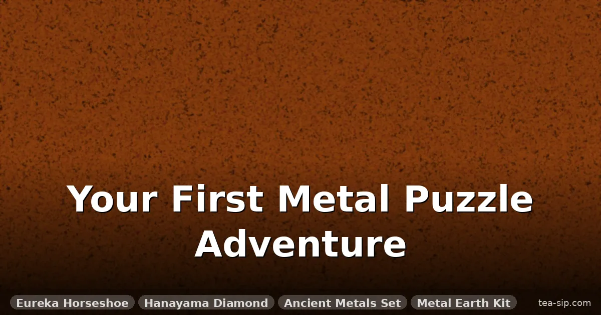 Best Metal Puzzles for Beginners: 5 Tried & Tested Picks