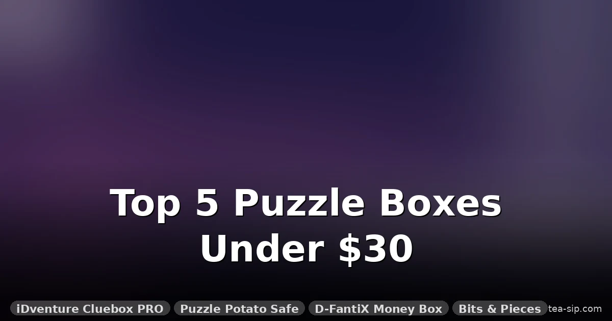 5 Best Puzzle Boxes Under $30: Tested for Difficulty, Build & Value