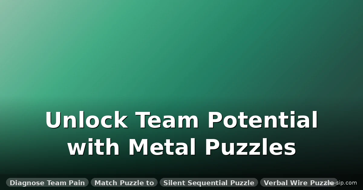 5 Tactile Metal Brain Teasers for Team Building (How to Pick & Use Them)