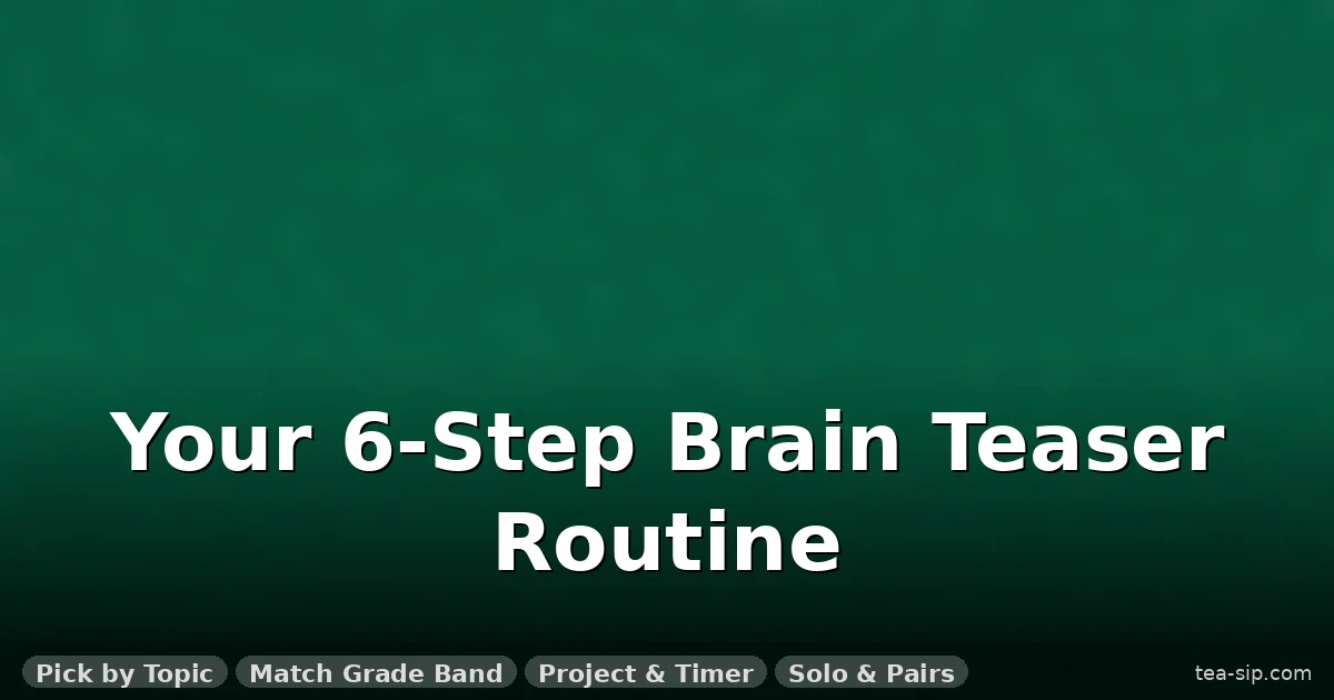 Brain Teasers for Math Teachers: 15 Puzzles Grouped by Topic