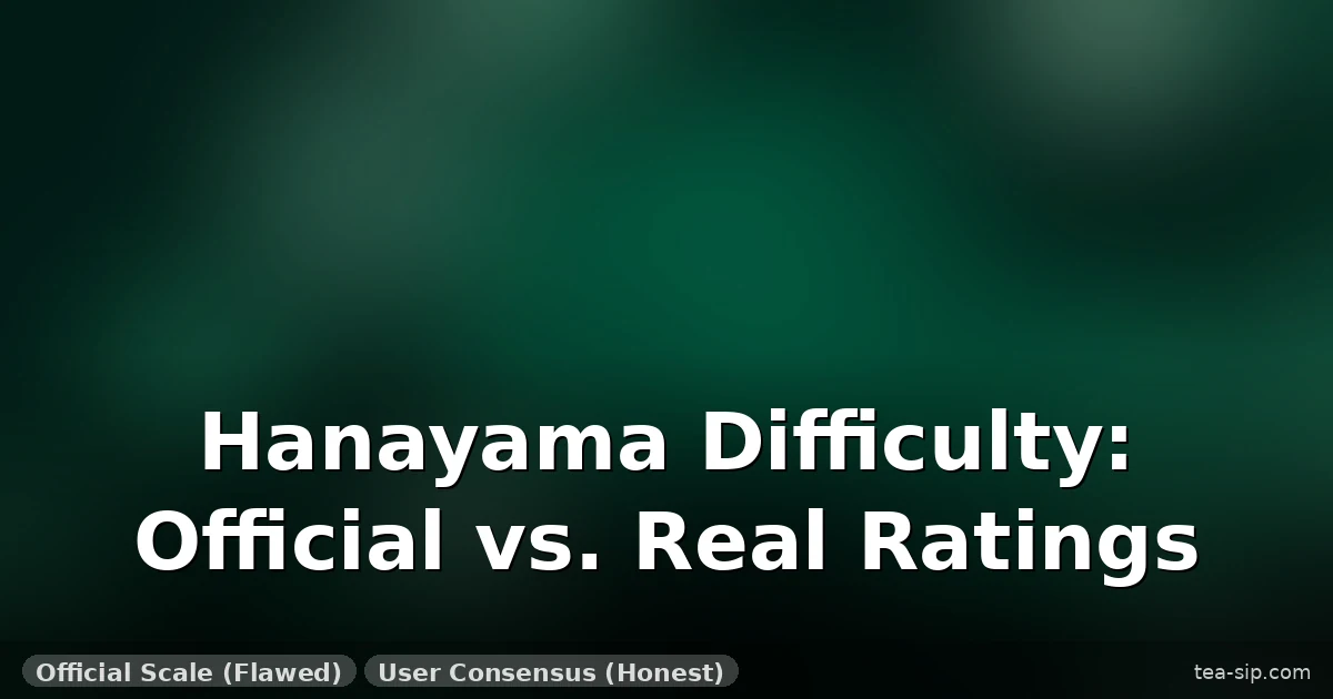 Hanayama Puzzle Difficulty Rating Honest Review: Official 6, Real 4