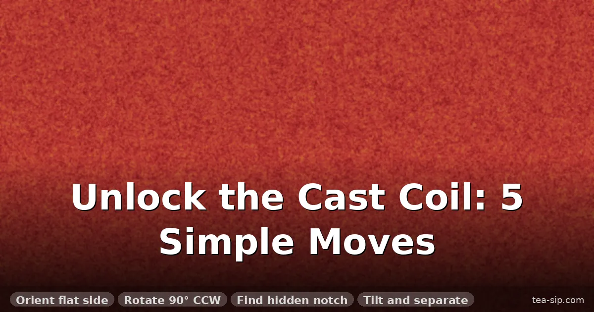 How to Solve the Hanayama Cast Coil Puzzle in 5 Steps (No Force Required) 4 How to Solve the Hanayama Cast Coil Puzzle in 5 Steps (No Force Required)