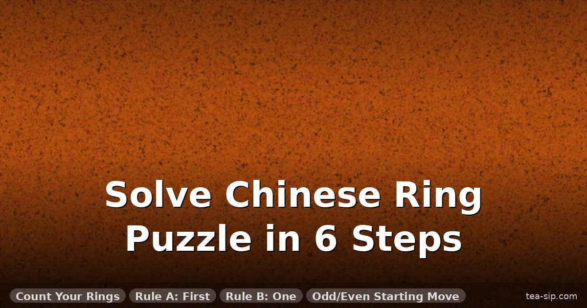 How to Solve the Chinese Ring Puzzle: 341 Moves with Only 2 Rules