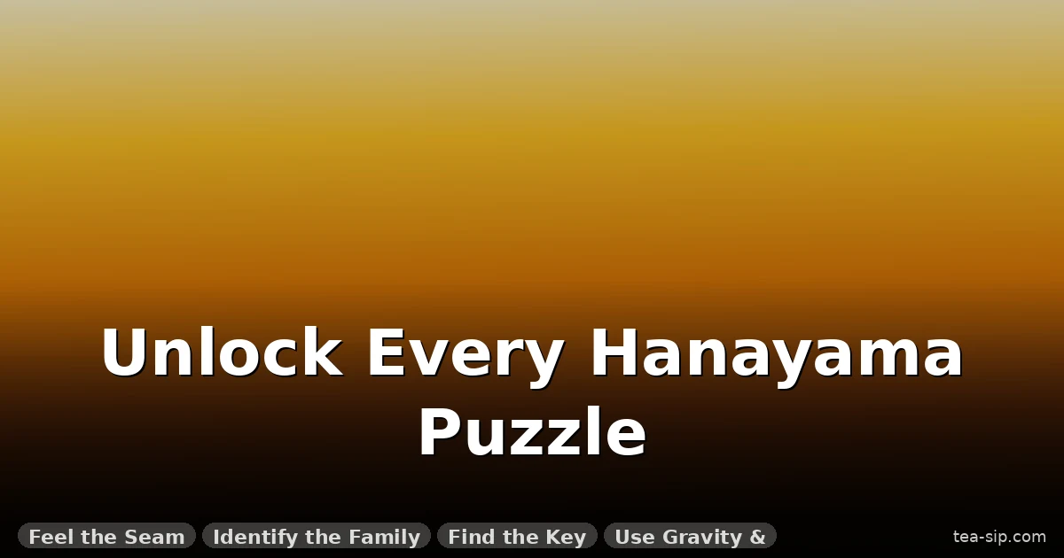 How to Solve Hanayama Puzzles: A Proven 5-Step Method
