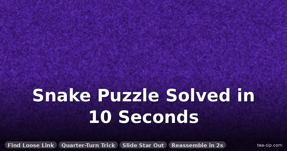 How to Solve a Metal Snake Puzzle: Hanayama Cast Star Step by Step