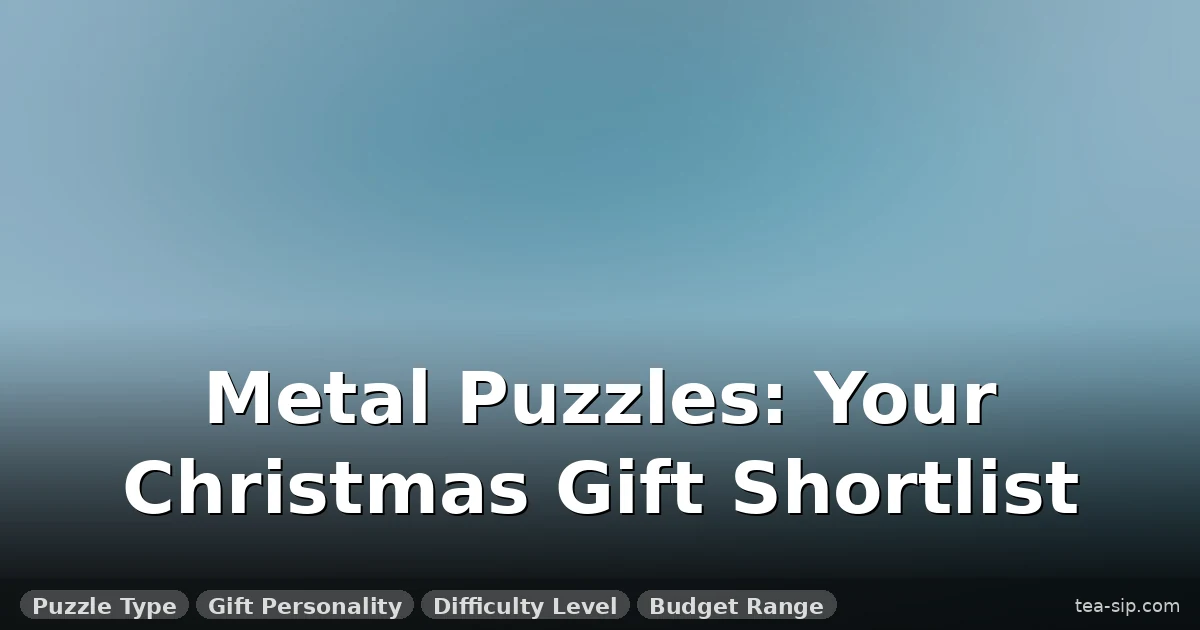 Metal Puzzle Christmas Gift Guide: Best Gifts for Every Type of Solver 5 Metal Puzzle Christmas Gift Guide: Best Gifts for Every Type of Solver