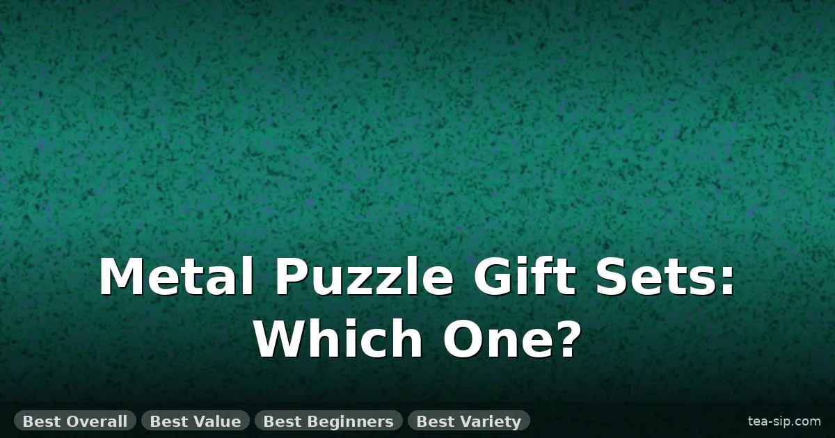 Metal Puzzle Gift Set Review: 5 Sets Tested Side-by-Side 6 Metal Puzzle Gift Set Review: 5 Sets Tested Side-by-Side