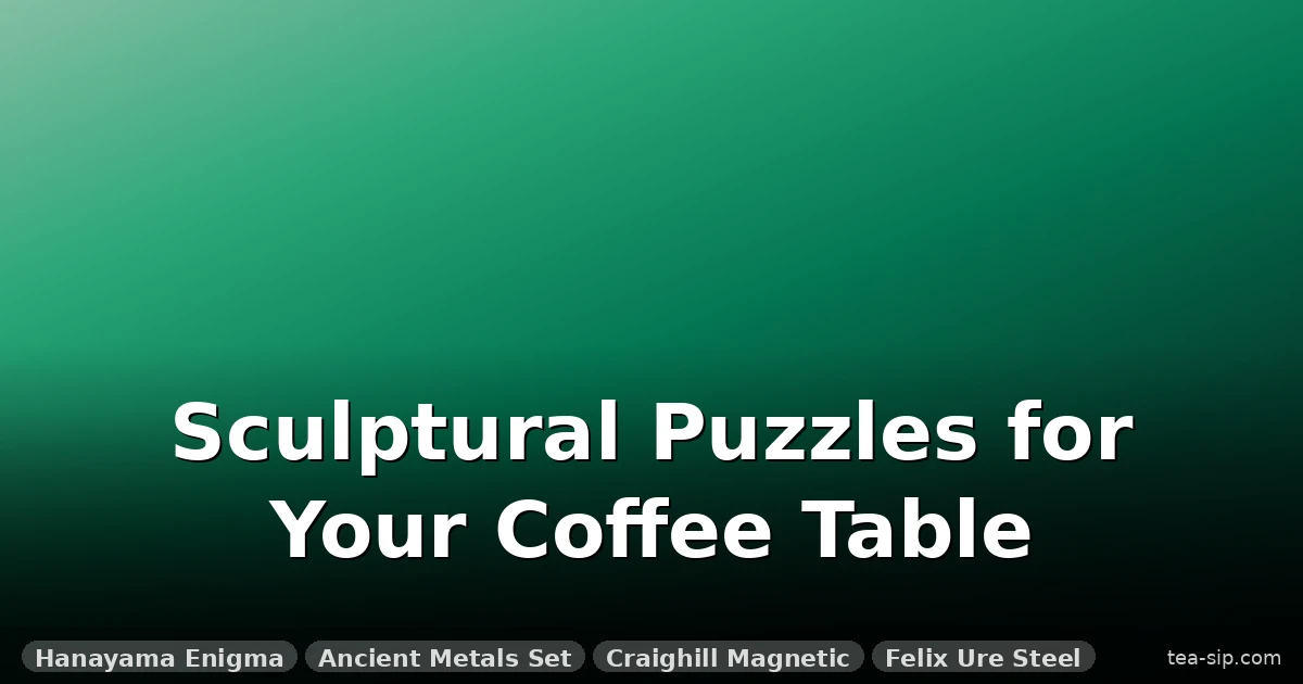 7 Metal Puzzles for Coffee Table That Act as Decor and Challenge 4 7 Metal Puzzles for Coffee Table That Act as Decor and Challenge