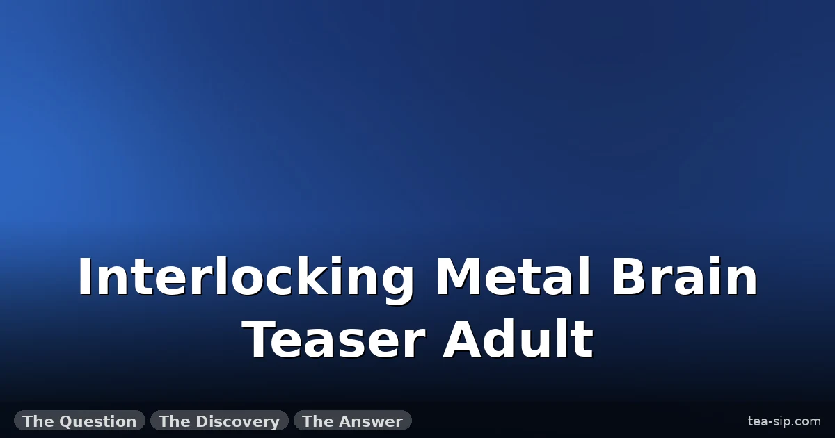 Interlocking Metal Brain Teaser Adult: 23 Tested, Honestly Ranked 6 Interlocking Metal Brain Teaser Adult: 23 Tested, Honestly Ranked