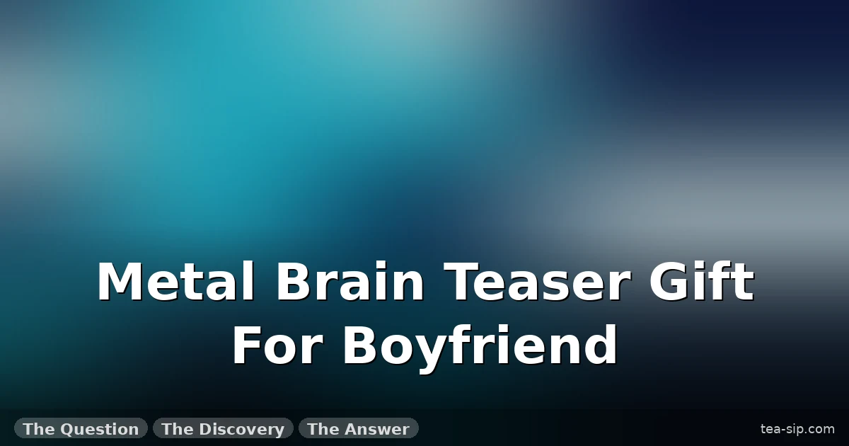 Metal Brain Teaser Gift For Boyfriend 7 Metal Brain Teaser Gift For Boyfriend