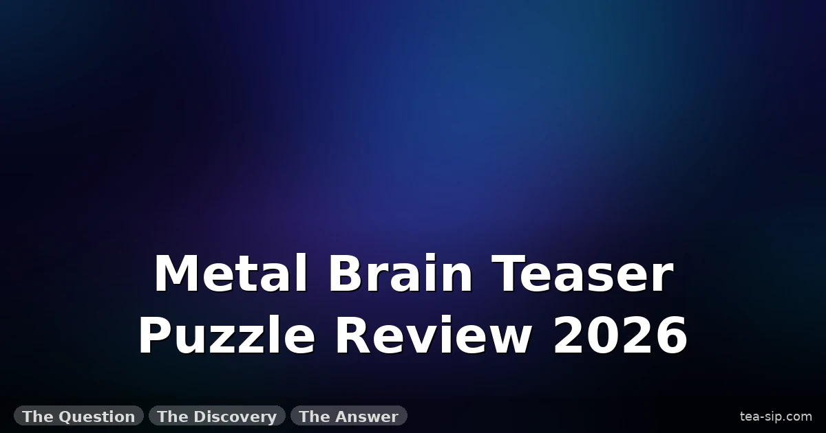 Metal Brain Teaser Puzzle Review 2026: 6 Months of Testing