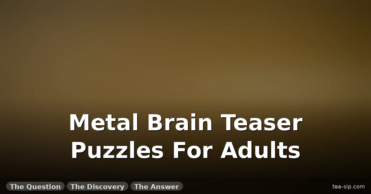 Metal Brain Teaser Puzzles for Adults: 47 Tested, 4 Families 7 Metal Brain Teaser Puzzles for Adults: 47 Tested, 4 Families