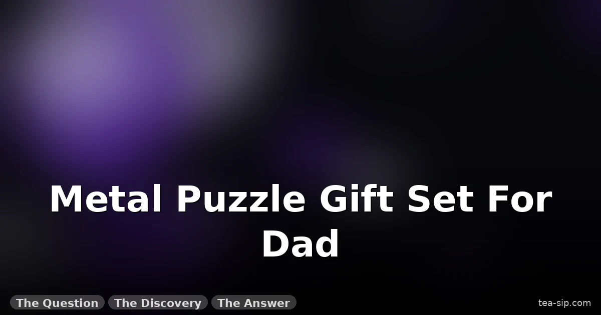 7 Metal Puzzle Gift Sets for Dad, Tested Across 7 Years 7 7 Metal Puzzle Gift Sets for Dad, Tested Across 7 Years