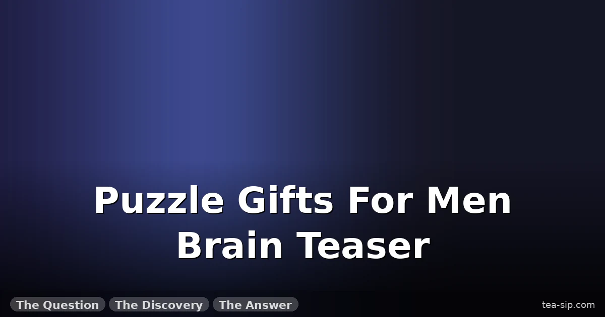 27 Puzzle Gifts for Men: Brain Teasers That Actually Impress