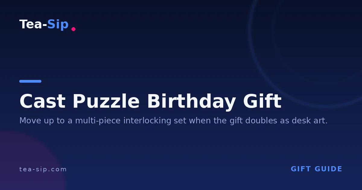 Cast Puzzle Birthday Gift: Which Hanayama Matches Your Recipient